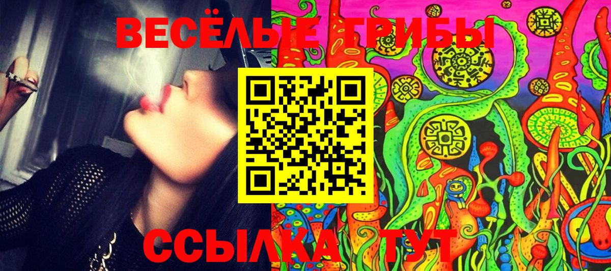 Канск  Псилоцибиновые грибы мицелий  Галлюциногенные грибы мухоморы  Вход с VPN 