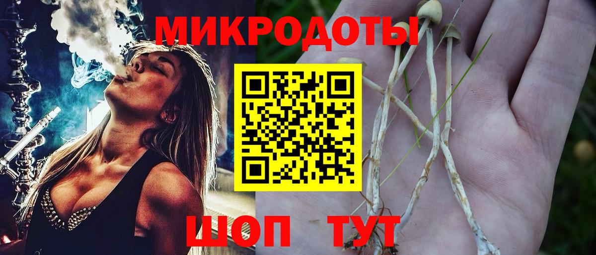 Галлюциногенные грибы Psilocybe Канск